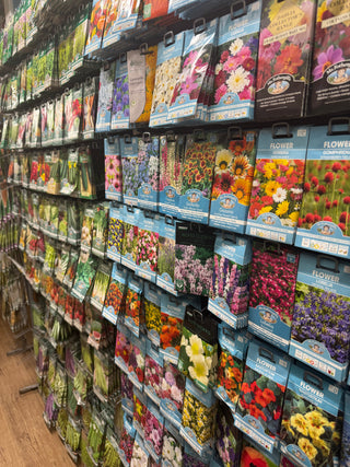 Seeds