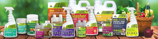 Concentrates & Insecticides