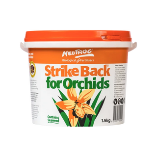 Strike Back For Orchids