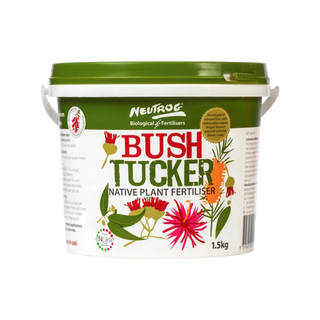 Bush Tucker - Natives