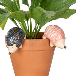 Echidna Pot Sitter