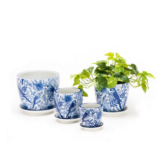 Designer / Planters