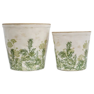 Planters Botanical Green