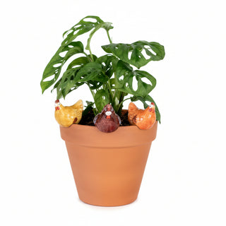 Chicken Pot Sitter