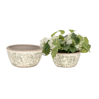 Shallow Planters