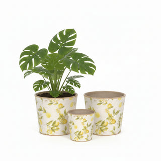 Cone Planters