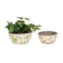 Shallow Planters