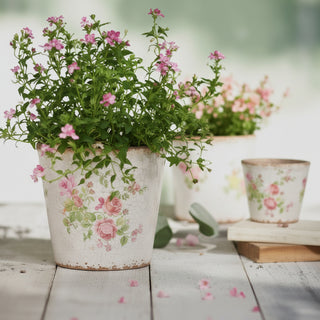 Cone Planters