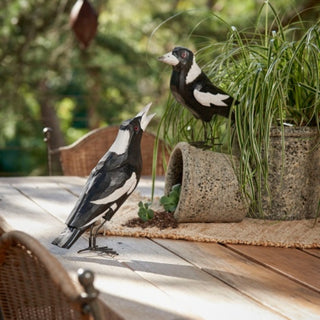 Magpies