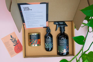 Munash Organics - Indoor Plant Foliage Spray