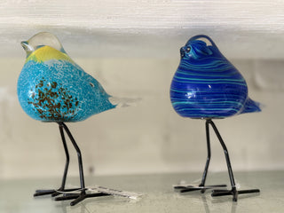 Glass Birds