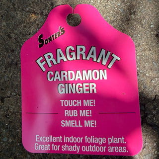 Annandale Garden Centre
