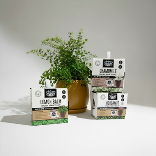 Grow & Brew Grow kits