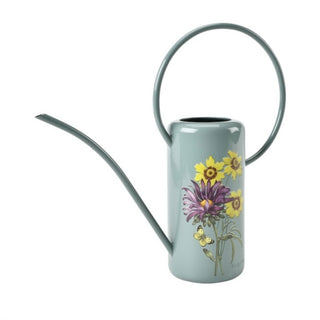 Indoor Watering Can - Asteracease
