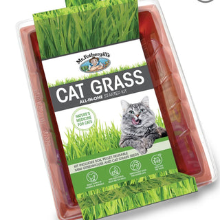 Cat Grass Kit