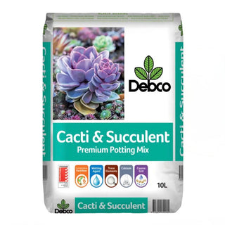 Cacti & Succulent Superior Mix