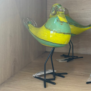 Glass Birds