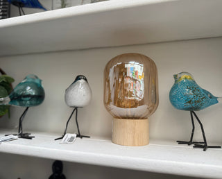 Glass Birds