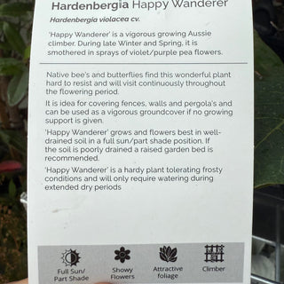 Hardenbergia