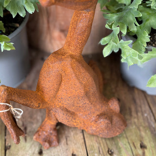 Frog Statures