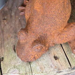 Frog Statures