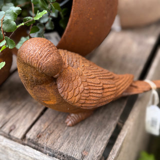 Bird Stature