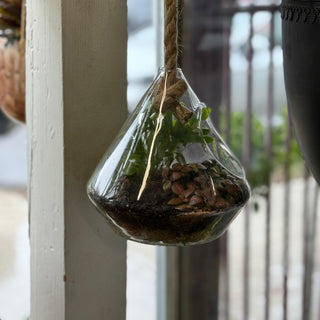 Terrariums Hanging