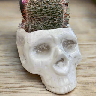 Skull Planters