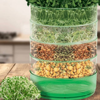 Seed Sprouter