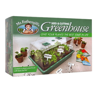 Mini Green House