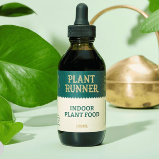 Indoor Plant Food