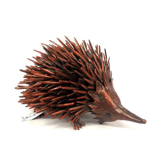 Echidna Bronze