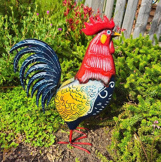 Rooster Colourful