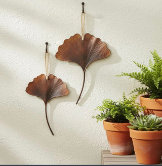 Gingko Leaf