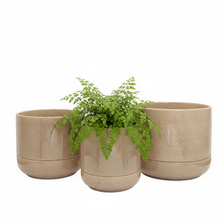 Planter Troy Self Watering