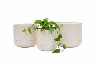 Planter Troy Self Watering