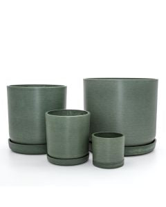 Planter Portland Olive