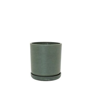 Planter Portland Olive