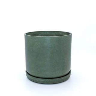 Planter Portland Olive