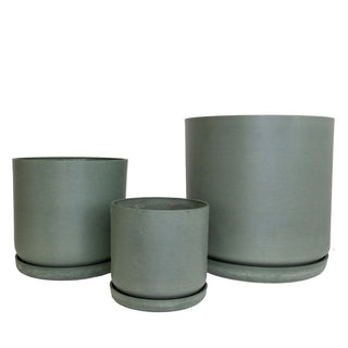Planter Portland Olive