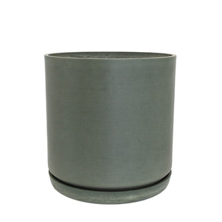 Planter Portland Olive