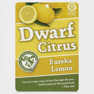 Dwarf Lemon