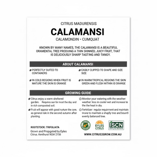 Cumquat Calamomdon Calamansi