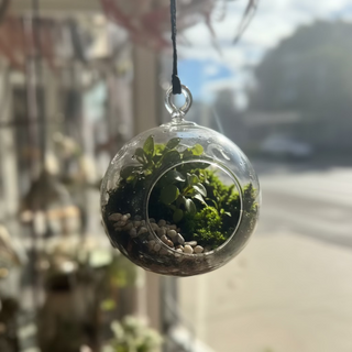 Terrariums Hanging