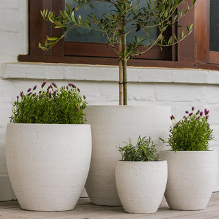 Planter Montague Egg Pot