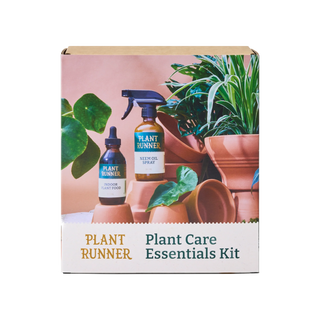 Plant Runner Gift Pack