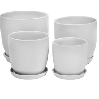 Tulip Pots