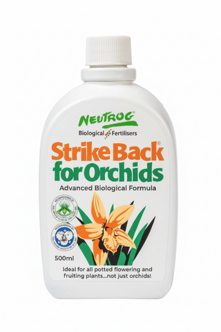 Strike Back For Orchids
