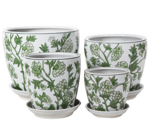Designer Planters