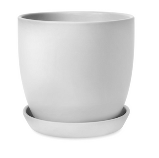 Tulip Pots